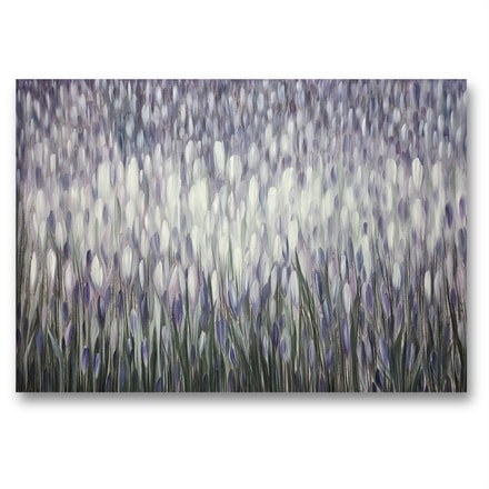 Pavasara vēstneši - krokusu pļava / Harbingers of Spring – A Meadow of Crocuses