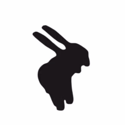 Stage Rabbit