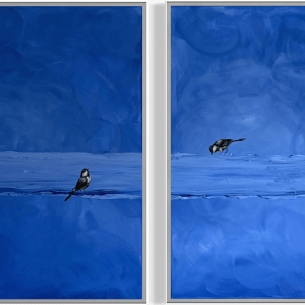 Visitors series