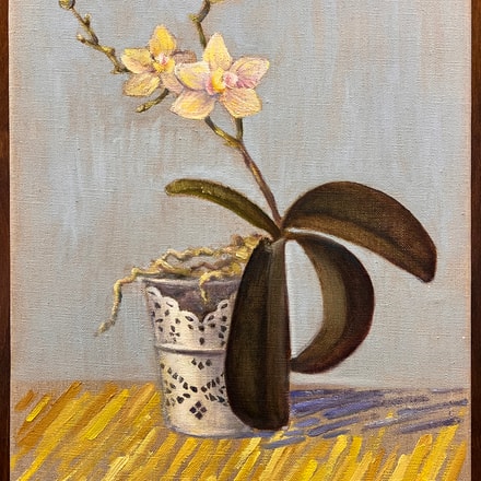 Lacy orchid