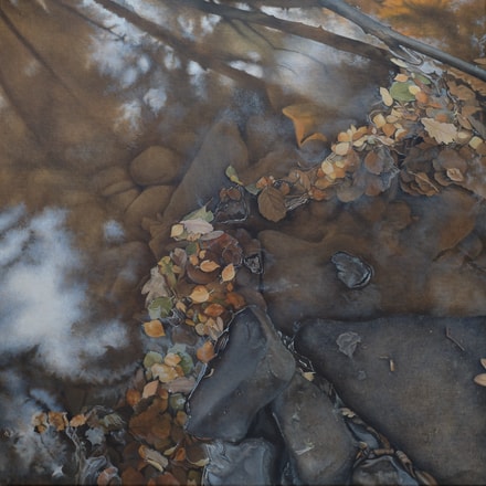 Reflections (fish)