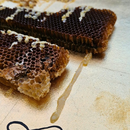 HONEYCOMBS